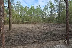 NE 127th Ct, Williston, FL 32696 - Photo 1