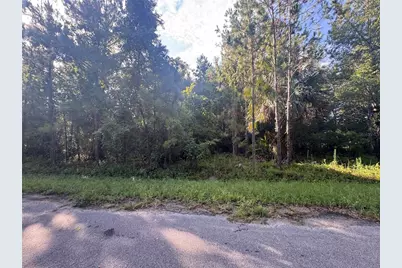 Tbd Sequoia Loop Drive, Ocklawaha, FL 32179 - Photo 3