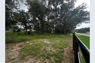 719 S Arlene Avenue, Inverness, FL 34453 - Photo 9
