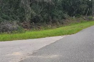 Lot 15 Olive Way, Ocala, FL 34472 - Photo 1