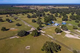 7787 NW 150th Ave, Morriston, FL 32668 - Photo 27