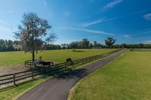 7787 NW 150th Ave, Morriston, FL 32668 - Photo 47