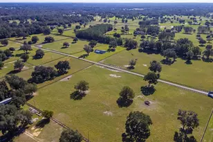 7787 NW 150th Ave, Morriston, FL 32668 - Photo 35