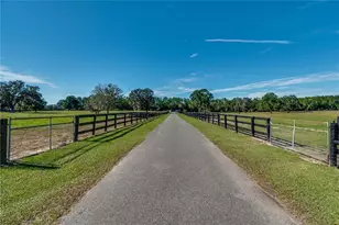 7787 NW 150th Ave, Morriston, FL 32668 - Photo 39