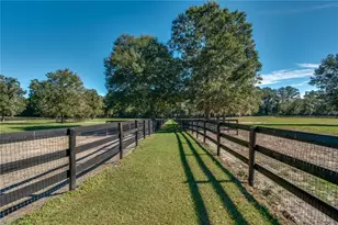 7787 NW 150th Ave, Morriston, FL 32668 - Photo 41