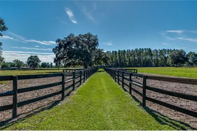 7787 NW 150th Avenue, Morriston, FL 32668 - Photo 25