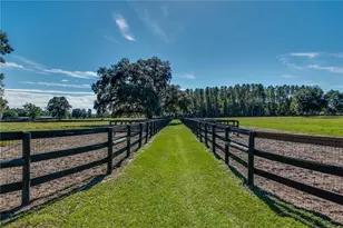 7787 NW 150th Ave, Morriston, FL 32668 - Photo 25