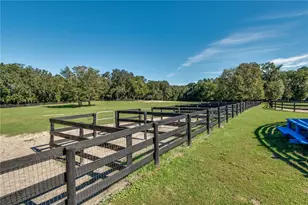 7787 NW 150th Ave, Morriston, FL 32668 - Photo 13