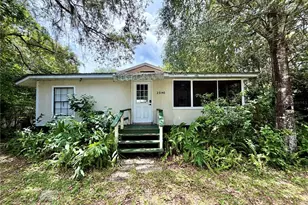 25140 NE 133rd St, Fort Mc Coy, FL 32134 - Photo 1