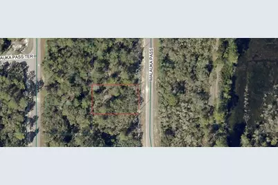 Tbd Malauka Pass, Ocklawaha, FL 32179 - Photo 1