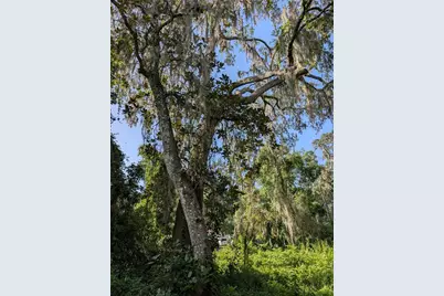 6650 N Beechnut Loop, Hernando, FL 34442 - Photo 3