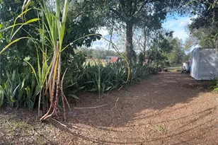 2260 SW Lois Ave, Arcadia, FL 34266 - Photo 23