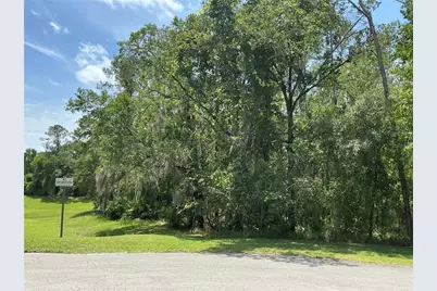 Sw 90th Place, Dunnellon, FL 34431 - Photo 3