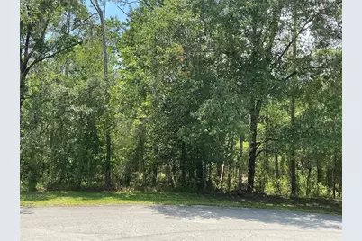 Sw 90th Place, Dunnellon, FL 34431 - Photo 1