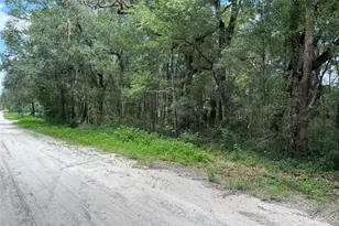 SW 139th Ct, Dunnellon, FL 34432 - Photo 1