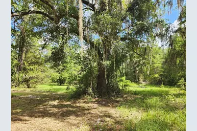 13501 NE 245th Street Road, Fort Mc Coy, FL 32134 - Photo 47