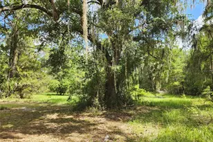13501 NE 245th Street Rd, Fort Mc Coy, FL 32134 - Photo 47