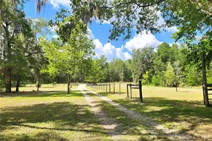 13501 NE 245th Street Rd, Fort Mc Coy, FL 32134 - Photo 39