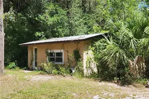 13501 NE 245th Street Rd, Fort Mc Coy, FL 32134 - Photo 35