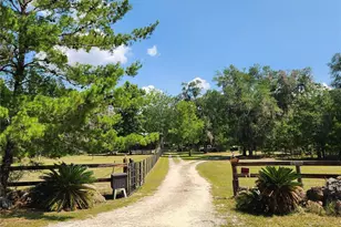 13501 NE 245th Street Rd, Fort Mc Coy, FL 32134 - Photo 43