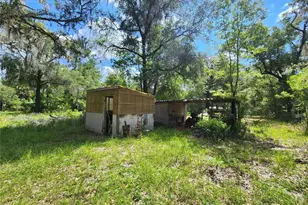 13501 NE 245th Street Rd, Fort Mc Coy, FL 32134 - Photo 37