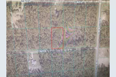 0 SW 75 Street, Dunnellon, FL 34432 - Photo 3