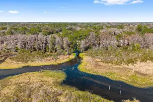22817 SW 117 St, Dunnellon, FL 34431 - Photo 59