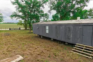 1390 NE 130th Ave, Williston, FL 32696 - Photo 3