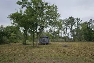 1390 NE 130th Ave, Williston, FL 32696 - Photo 9
