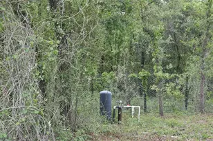 1390 NE 130th Ave, Williston, FL 32696 - Photo 19