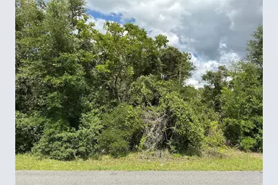 Marion Oaks Drive, Ocala, FL 34473 - Photo 1