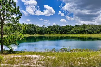 Malauka Loop, Ocklawaha, FL 32179 - Photo 25