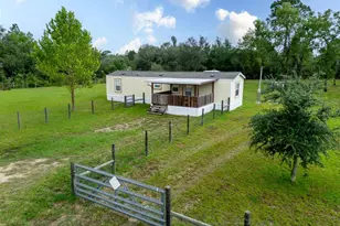 12551 NE 14th St, Williston, FL 32696 - Photo 3
