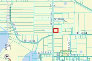 11949 SE Hwy 464, Ocklawaha, FL 32179 - Photo 53