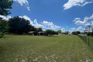 11949 SE Hwy 464, Ocklawaha, FL 32179 - Photo 49