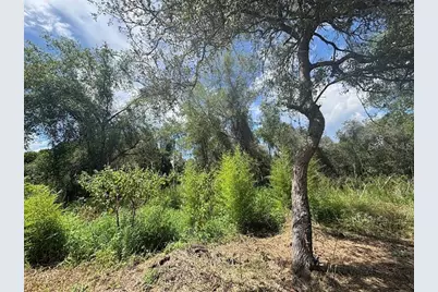 15299 NE 238th Street, Fort Mc Coy, FL 32134 - Photo 15