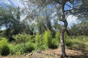 15299 NE 238th St, Fort Mc Coy, FL 32134 - Photo 15