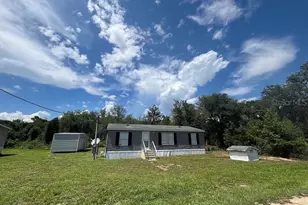 15299 NE 238th St, Fort Mc Coy, FL 32134 - Photo 1