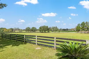 8544 NW 160th Ave, Morriston, FL 32668 - Photo 41