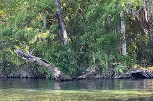 19331 SW 100th Loop, Dunnellon, FL 34432 - Photo 81