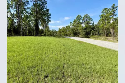 3039 SW Viburnum Road, Dunnellon, FL 34431 - Photo 19