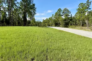 3039 SW Viburnum Rd, Dunnellon, FL 34431 - Photo 19
