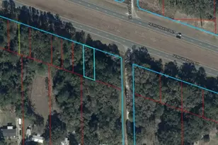 Tbd NE Hwy 27Alt, Williston, FL 32696 - Photo 1