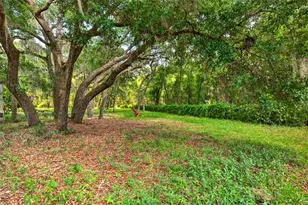 9955 SE 160th Ave, Ocklawaha, FL 32179 - Photo 7