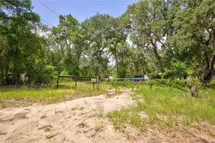 9955 SE 160th Ave, Ocklawaha, FL 32179 - Photo 37