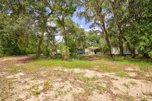 9955 SE 160th Ave, Ocklawaha, FL 32179 - Photo 3