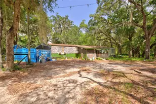 9955 SE 160th Ave, Ocklawaha, FL 32179 - Photo 5
