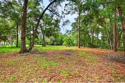 9955 SE 160th Avenue, Ocklawaha, FL 32179 - Photo 9