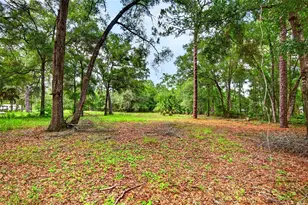 9955 SE 160th Ave, Ocklawaha, FL 32179 - Photo 9