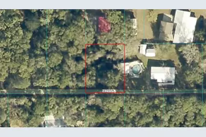 Tbd Lot 61 NE 191st Place, Fort Mc Coy, FL 32134 - Photo 1